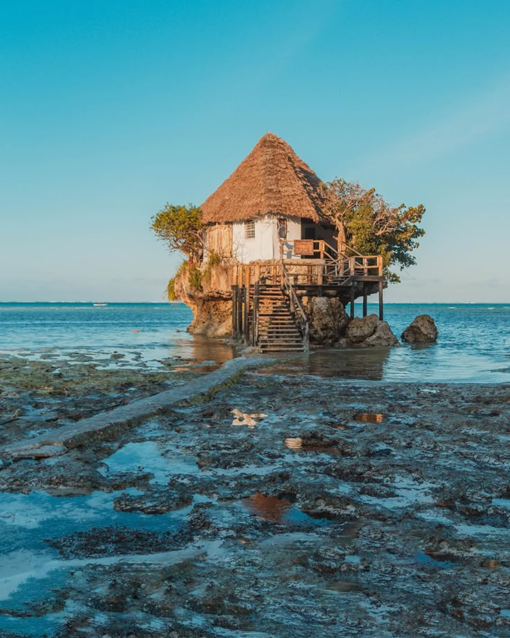 Safari fauves & Zanzibar