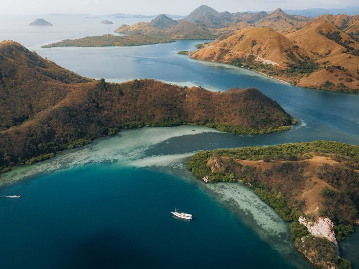 Komodo